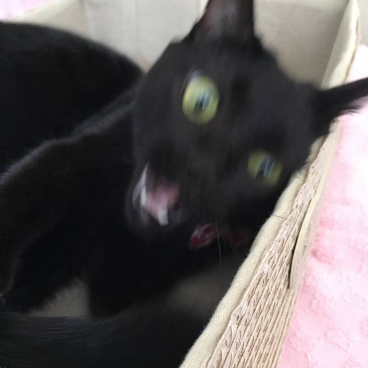 3b82f06d af3a 463c a01d 6935249e0ff4