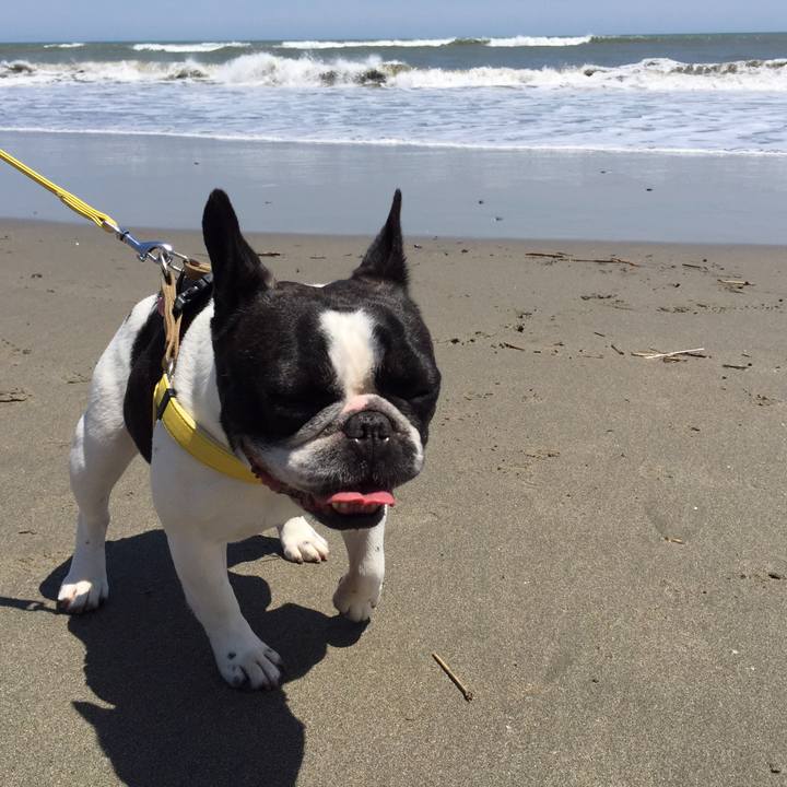 3b83549e 361c 455a 8817 318c127948aa