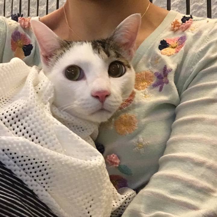 3b8430ce 90cd 4f8d ba63 5c329a7b7068