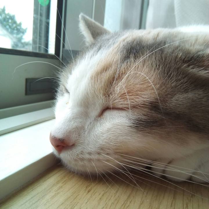 3b849d1c 0590 4ece 8124 707fbe324630