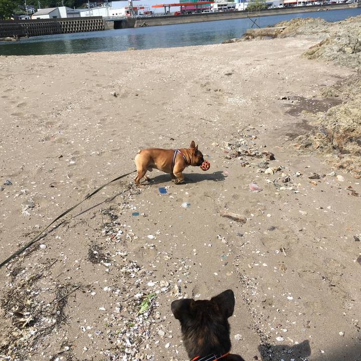 3b84b2a2 c1ff 46dc 91dc e53ac622da79