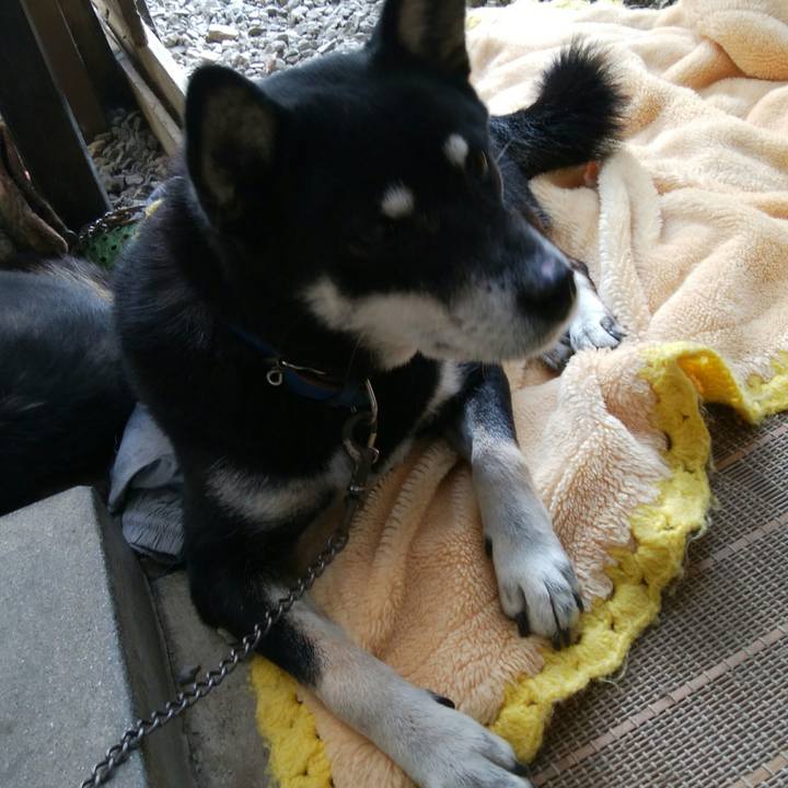 3b852885 bdcd 41a2 bcac e498a308a94d