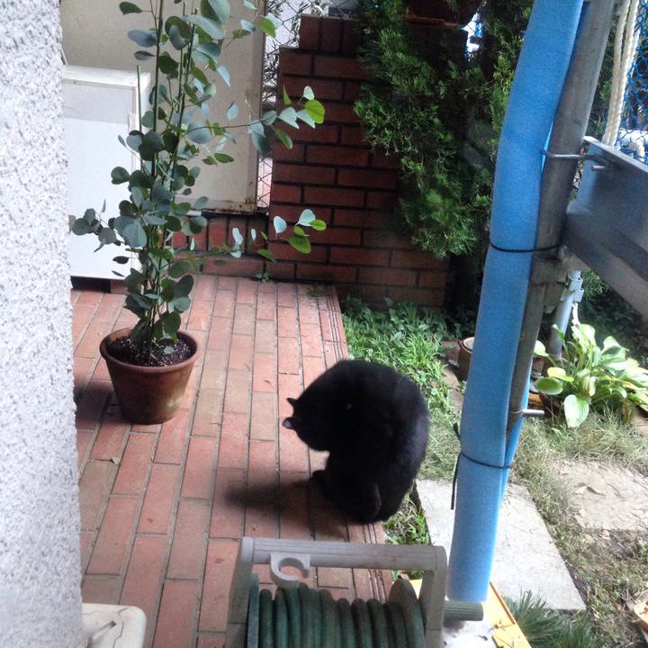 3b855422 fd18 4962 ac0e cf00e6a67cff