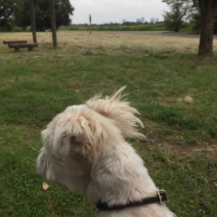 3b86000a ee2d 434d b8d4 f292ece42013