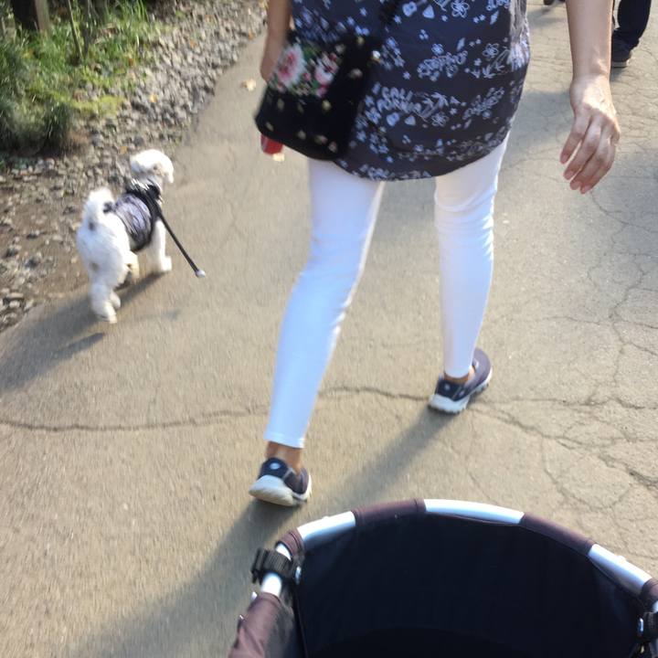 3b8612b3 4183 4129 8fd9 b69213270bf7