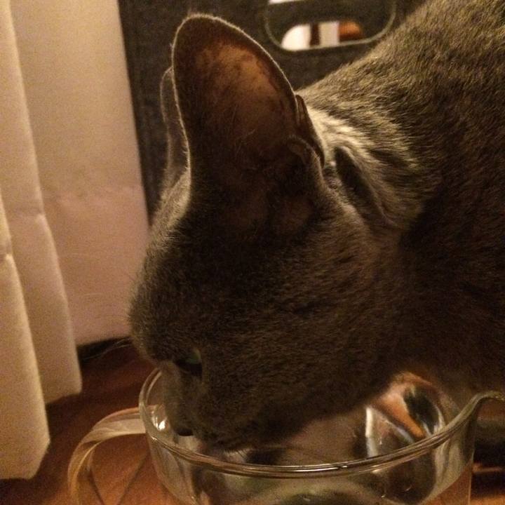 3b869d83 59dc 4eae 90b8 fe0b79673ceb