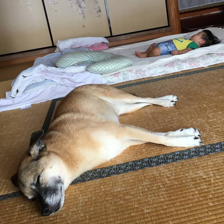 3b869fdd f420 40f2 81da 4ec745cd2d62