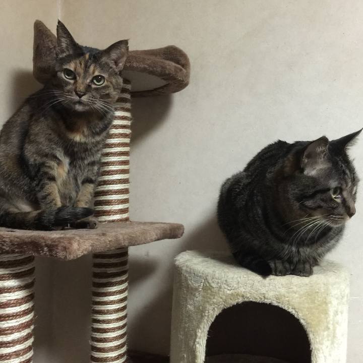 3b87b182 85db 40ee 8655 6b813950a41f