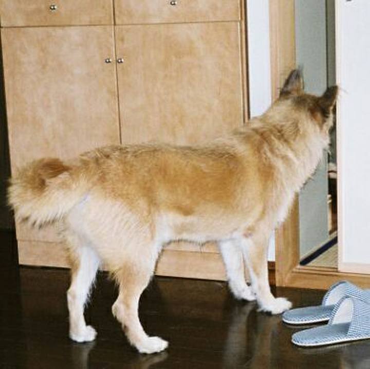 3b88d200 643d 4999 93f7 cff70d001f3d