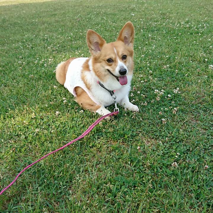 3b8933a4 8ef8 4481 bda1 9420a1f906a4