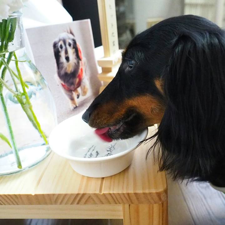 3b8a6195 e61b 4da7 bd65 8a1cd6b8ada1