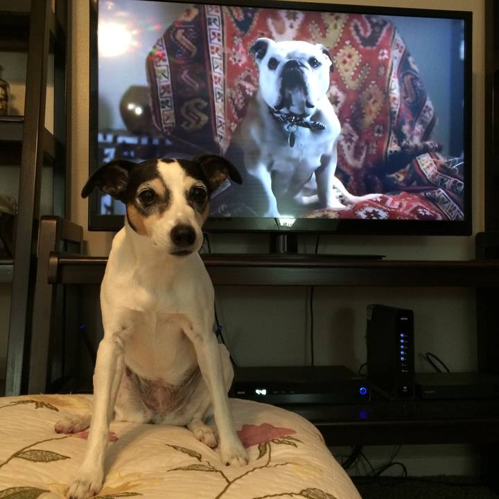 3b8a871b 7930 4317 a3a6 ddd6e539f6bd