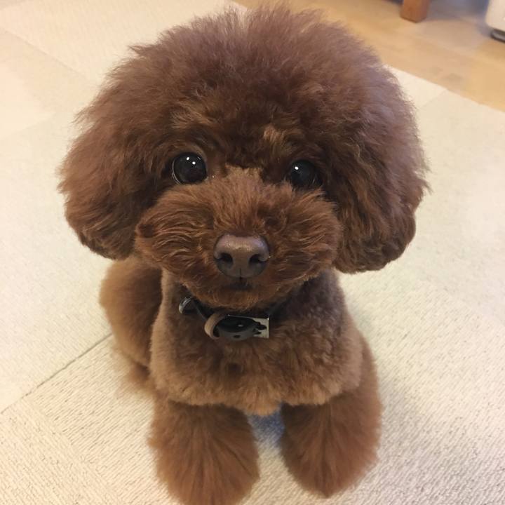 3b8b9969 42b2 4fa7 94e3 5db6121d12a1