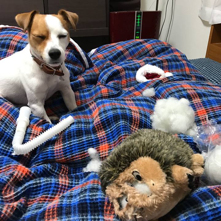 3b8bb8c4 b997 410a affb 05d3a31159d6