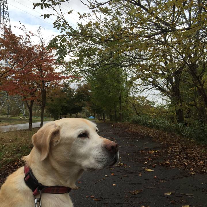 3b8c9454 6dea 402e 87df 6829dd360460