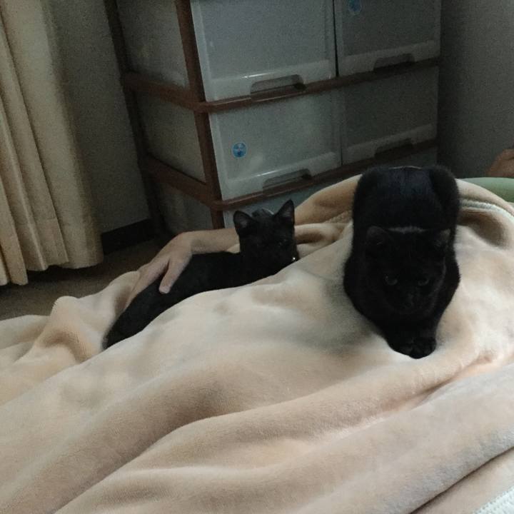 3b8f8bd3 79a7 40e4 9818 da646546e142