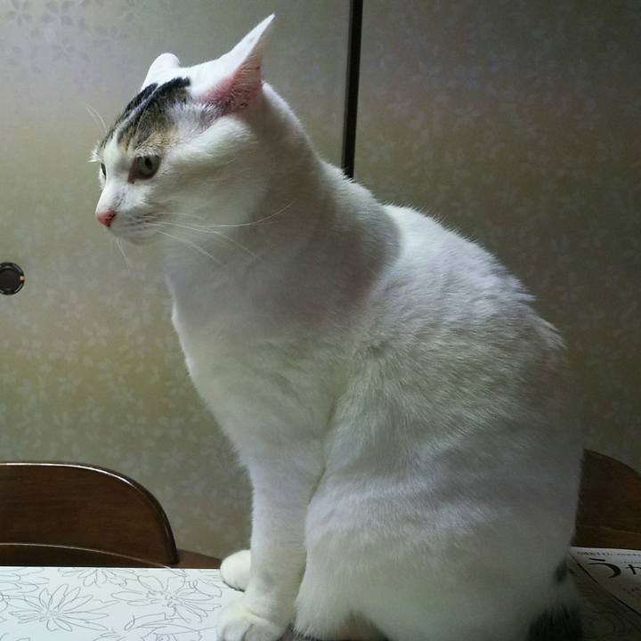 3b8fc68d c2d3 4e1a 8c01 52ab283d9f30