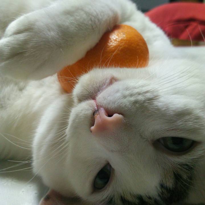 3b8fdd7c 2a4a 47bc 958e d41b30a4b6e5