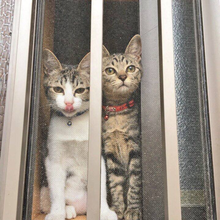 3b8ff0b4 4638 42e6 a29b 93ef0d967411