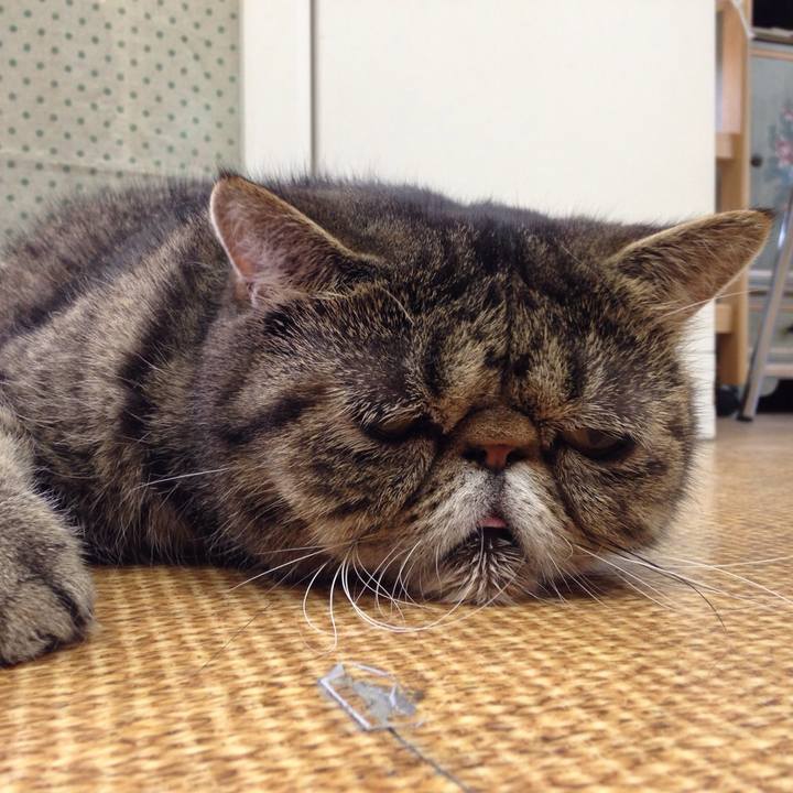 3b90fdce e846 44e1 b01c c60b4e5eb685