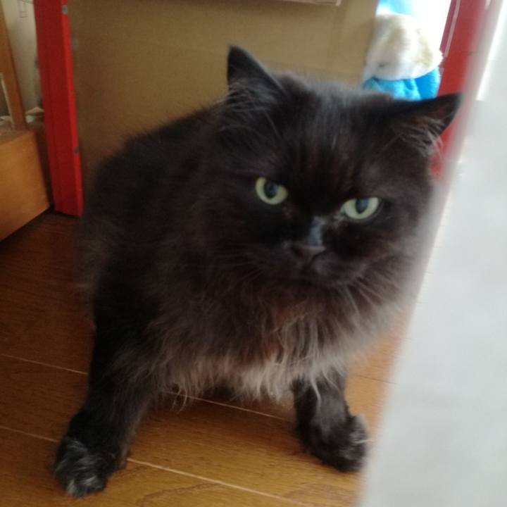 3b910136 df68 42f7 8e42 e5f435c06972