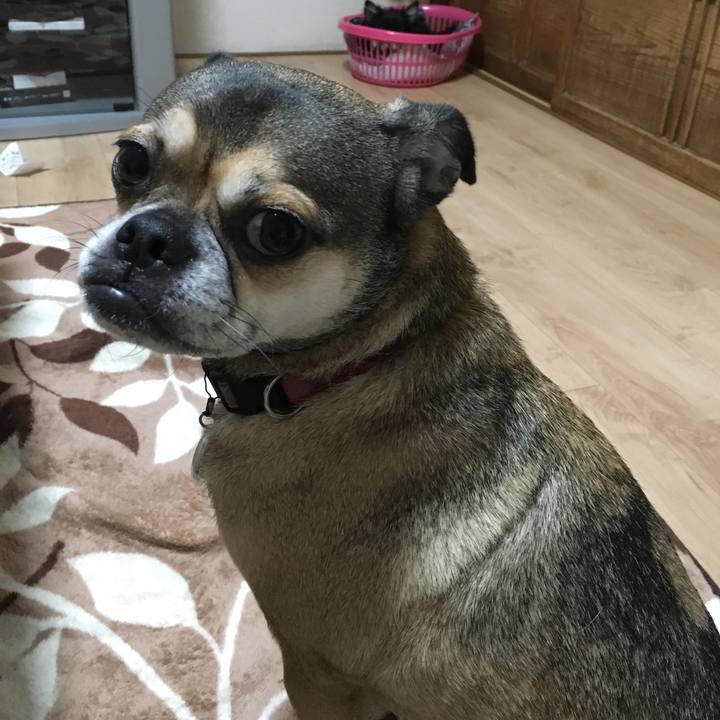 3b916eba 4f51 4bb9 90ea 2531f416c5f5