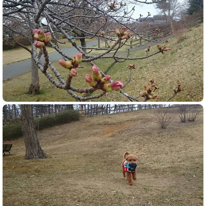 3b91b5f0 0b99 489f 94a5 00c9215983ba