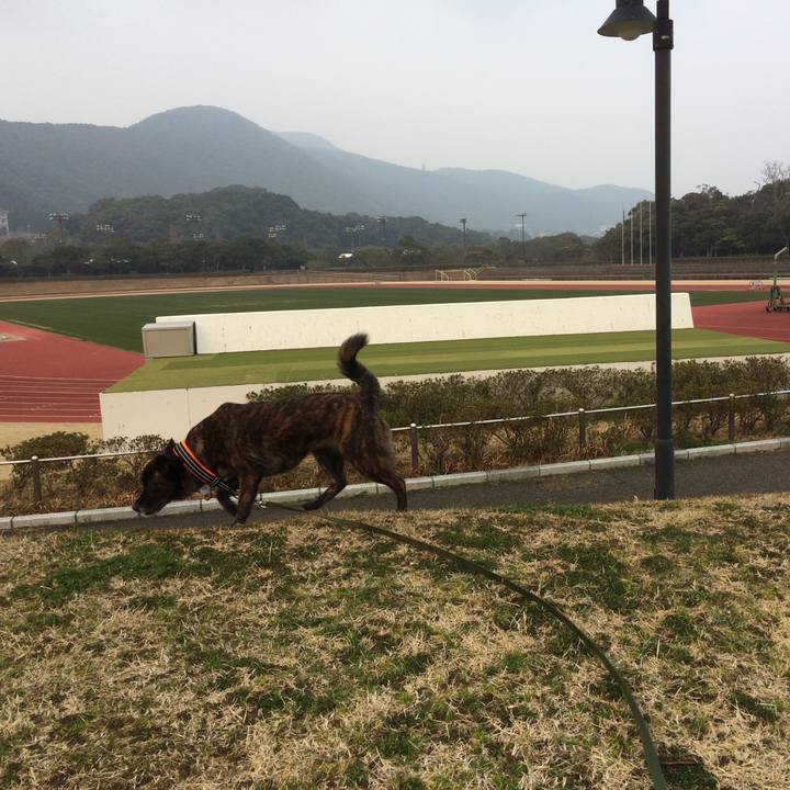 3b91fe98 6e3f 43ca 85a3 15e78459bd3e