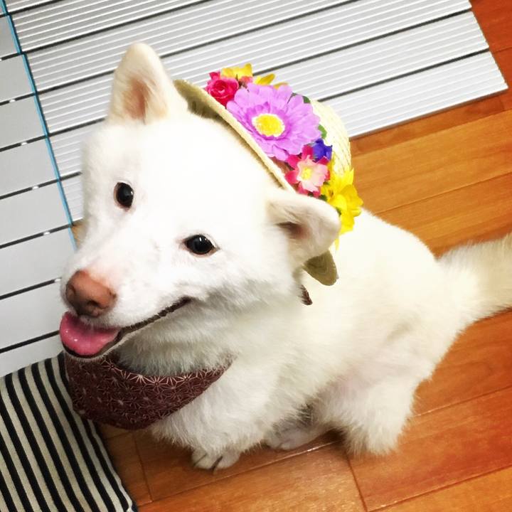 3b9269fb d14e 49a8 8ff5 f68e09b4de69