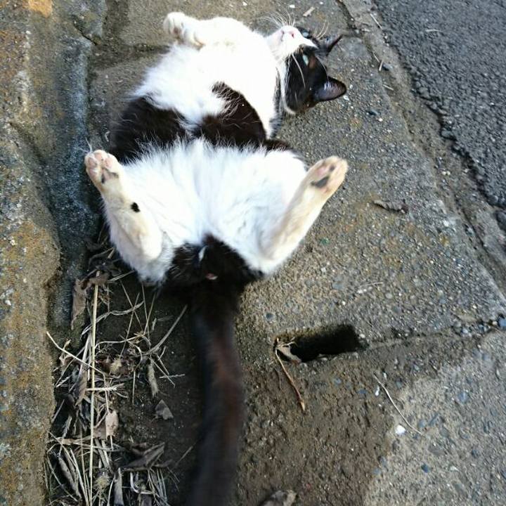 3b931e21 731b 4694 9200 44f6bc203b4d