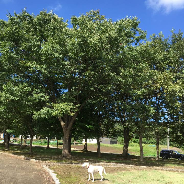 3b9364f3 2aa3 47ad 9d89 0edc37df4b04