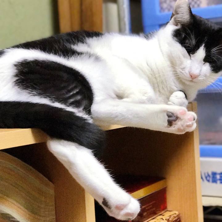 3b938519 6b21 421b b23e 956821ae81ef