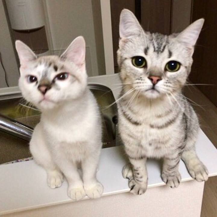 3b93ece1 b95e 4336 a553 af491b81b42c