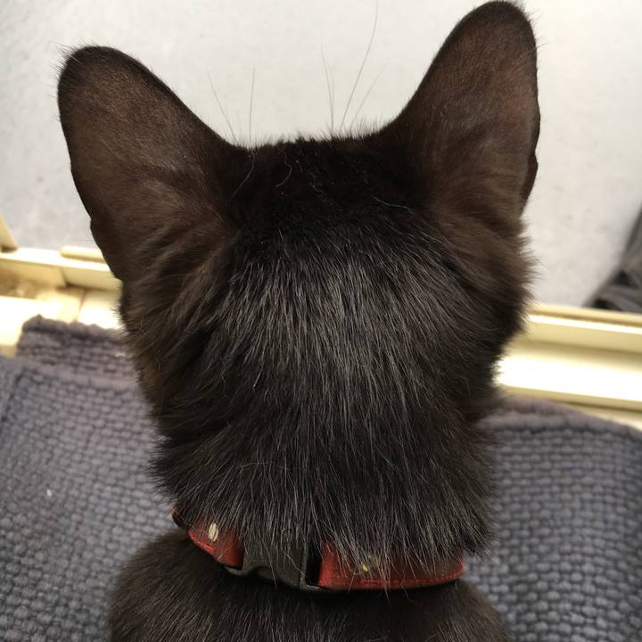 3b93f6a8 d16d 4789 99ed 9488f428bf1c