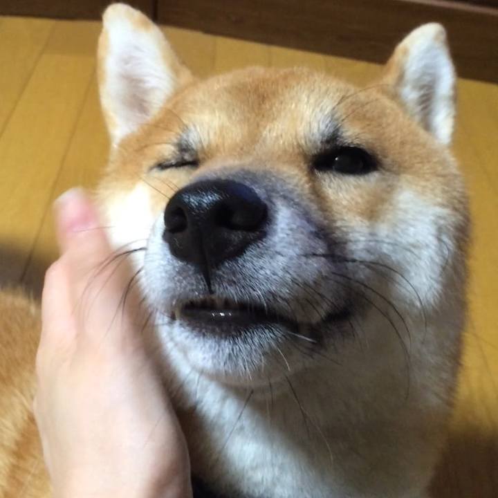 3b940bbf 2297 4f47 a386 303482465046