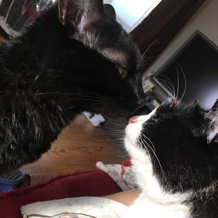 3b943dcc 537b 4961 aff4 21a77d95a84c