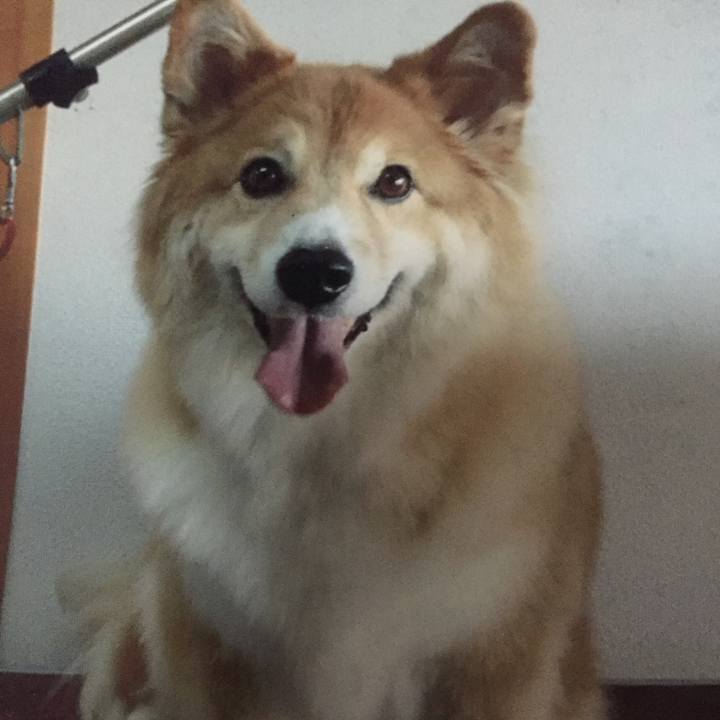 3b956525 4c21 4679 a46d 27ca08ce7633