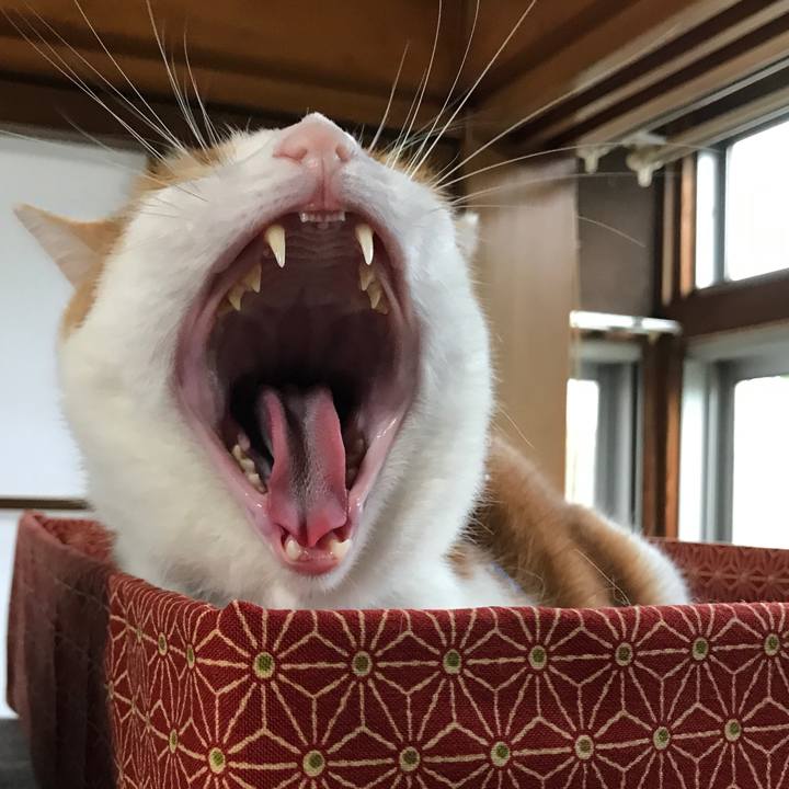 3b9574bb 9992 4b6b a7c6 73e9b136a4f9