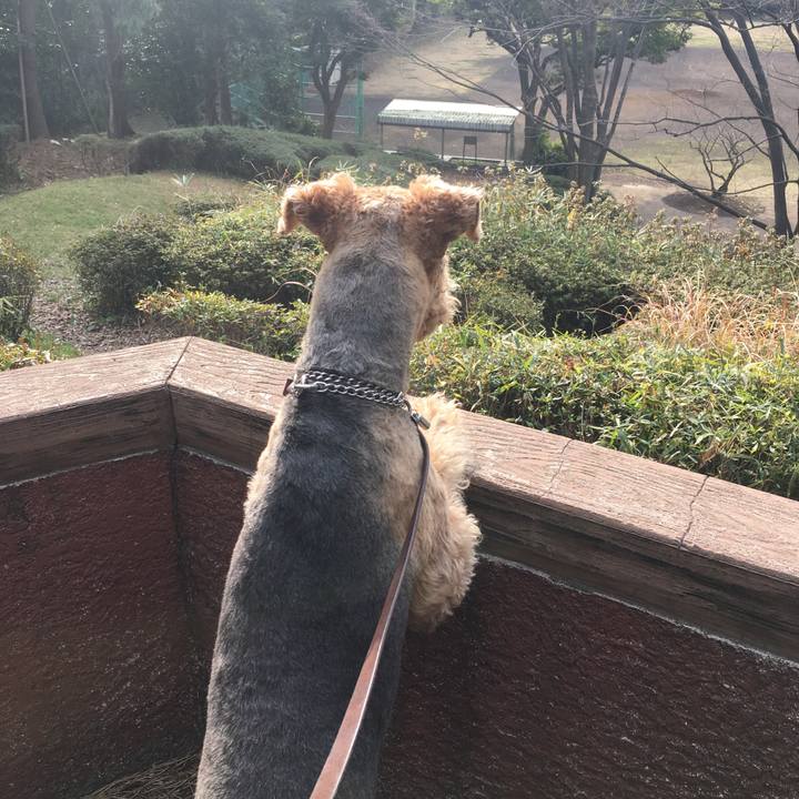 3b95d787 503f 4c2b 97c6 0ff2dd0e2530