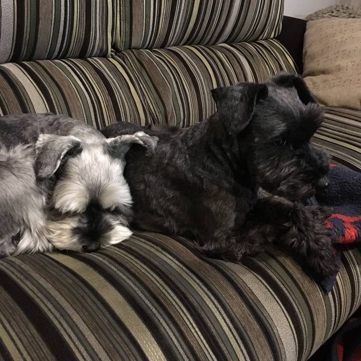 3b98298e af59 412d 940d 2d78875526ef