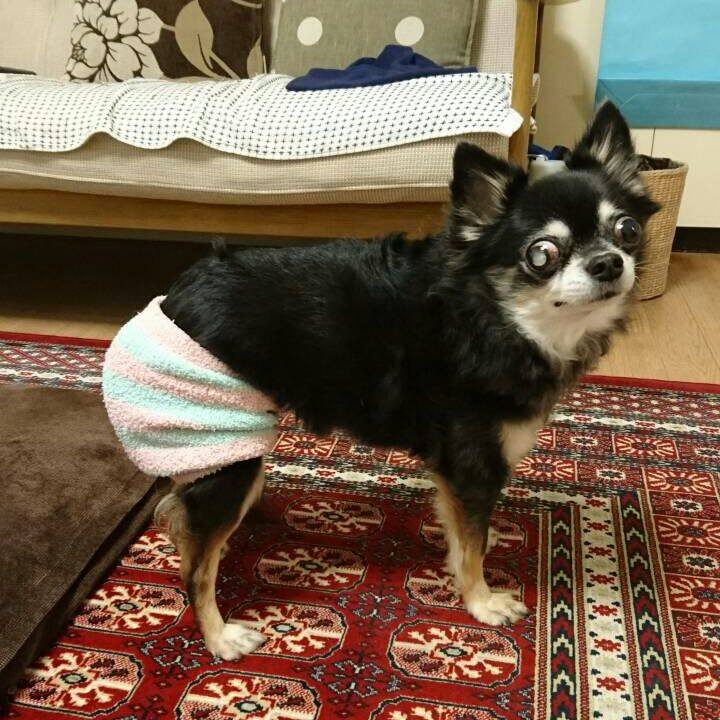 3b9867d9 a8f6 4322 a213 ed22091b89a0