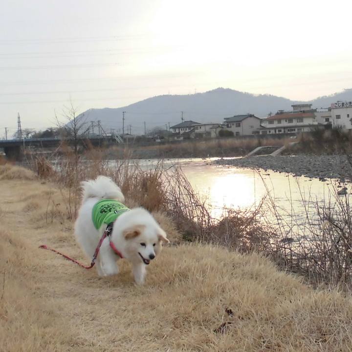 3b9878ed 36e6 4d34 a2dc f9211800e183