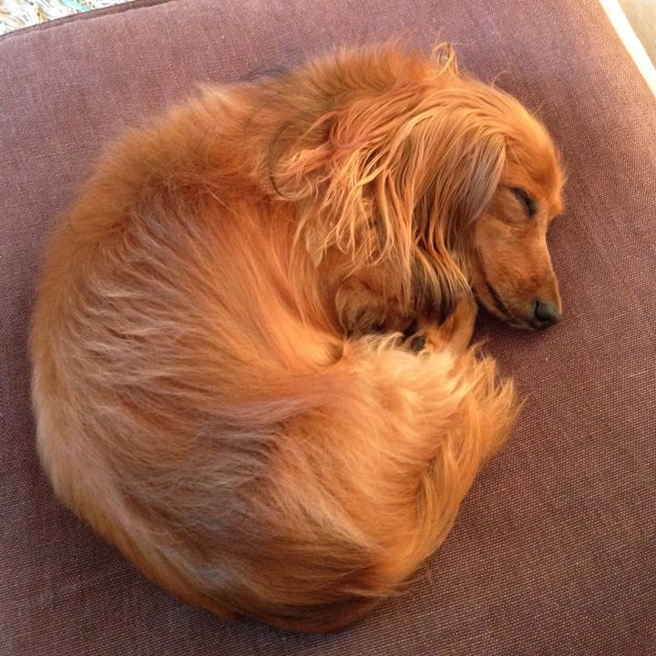 3b98e111 d721 4010 a24d 4e4bedab2829