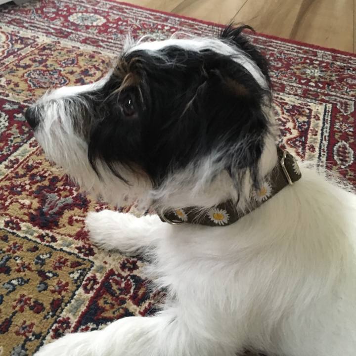 3b993753 8369 4924 94cc 9c4ba2159f85