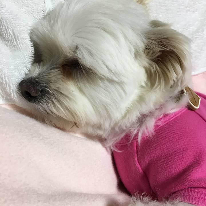 3b998bea a47e 46ad 86e2 aa5b5bc2f7da