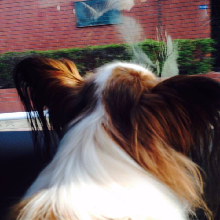 3b999be9 ffb6 41d8 a35a 05c1721de3ac