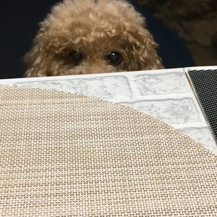 3b99a925 c185 44a3 b253 4f1fac62980c