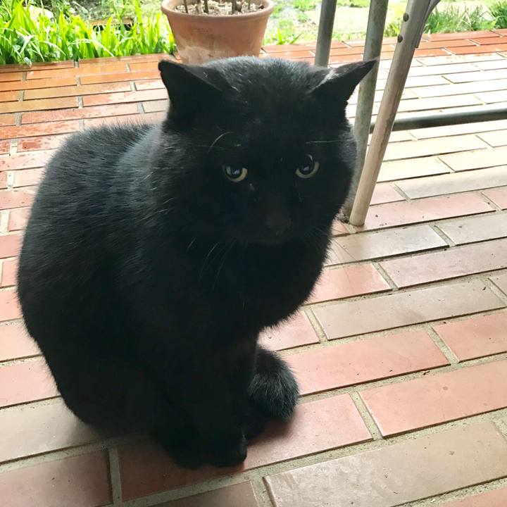 3b99a9c0 c9f0 4f02 aca8 7f6fab09e22d