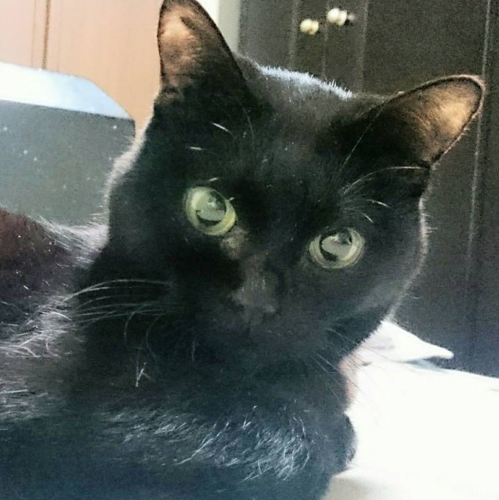 3b9a9d82 db23 4614 872e 82aa392d9669