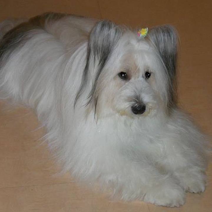 3b9ab041 9601 48fd 831f 2eaac4f8677b